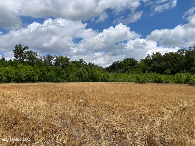 $543,725 | Brahan Road, Coahoma, MS 38617