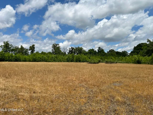 $543,725 | Brahan Road, Coahoma, MS 38617