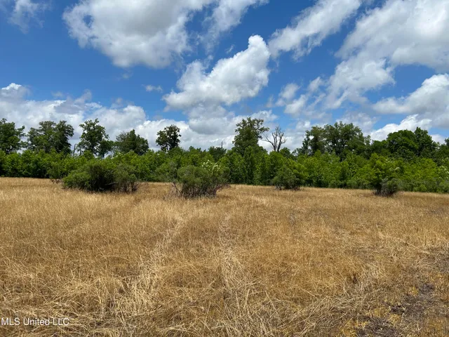 $543,725 | Brahan Road, Coahoma, MS 38617