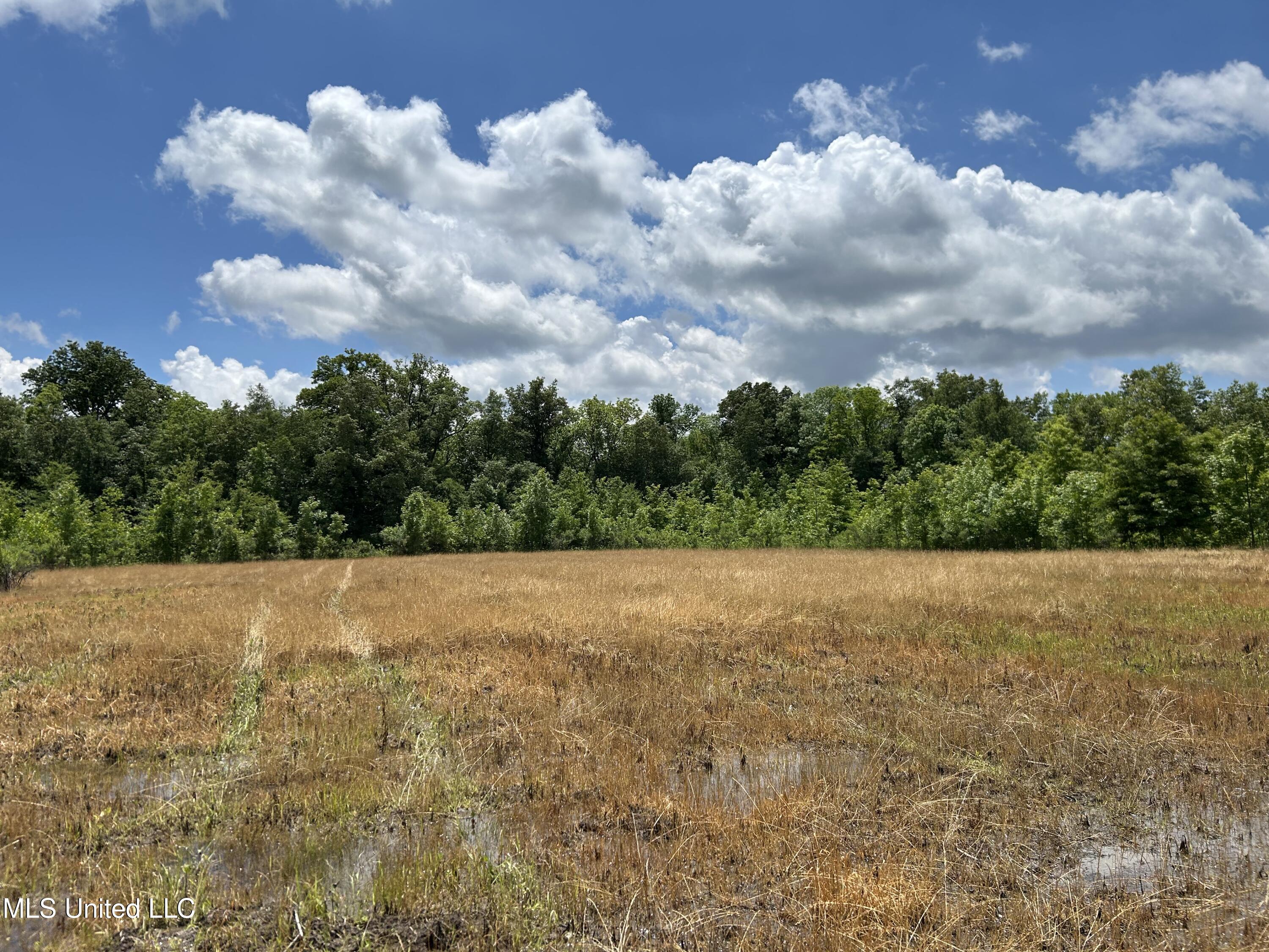 Brahan Road Coahoma, MS 38617 - Photo 8 of 49 Photo May 13 2025, 1 10 01 PM