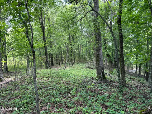 $543,725 | Brahan Road, Coahoma, MS 38617