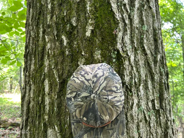 $543,725 | Brahan Road, Coahoma, MS 38617