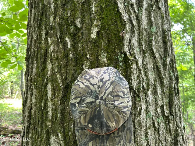 $543,725 | Brahan Road, Coahoma, MS 38617