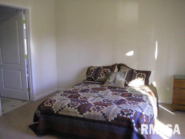 70 Bay Ridge Drive Goreville, IL 62939 - Photo 8 of 20 Gallery Image 8