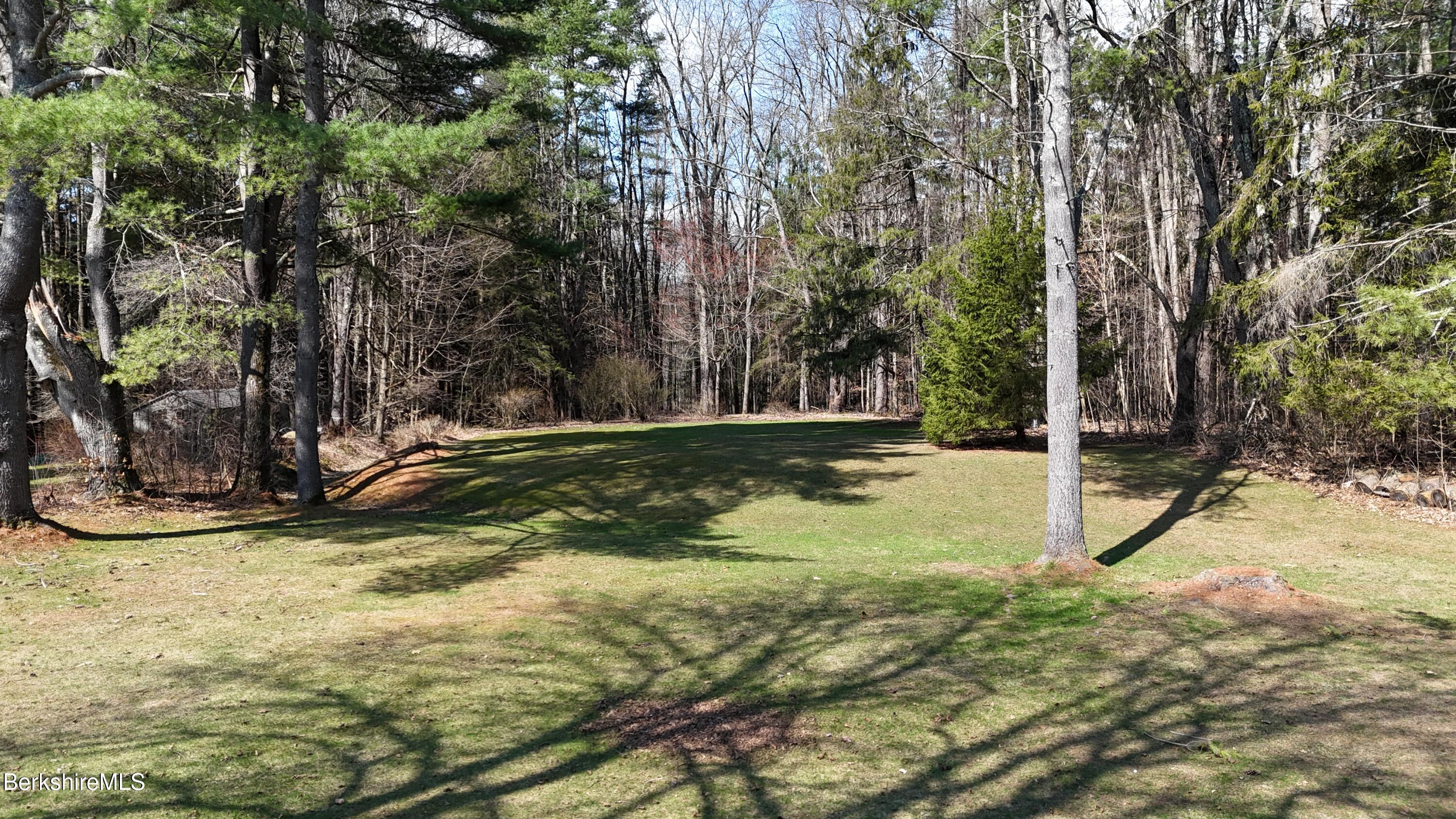 156 East New Lenox Road Pittsfield, MA 01201 - Photo 12 of 41 Back Yard