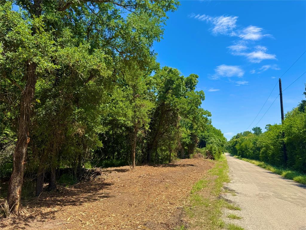 350 Indian Camp Road Weatherford, TX 76088 - Photo 5 of 18 a view of a yard with plants and large trees