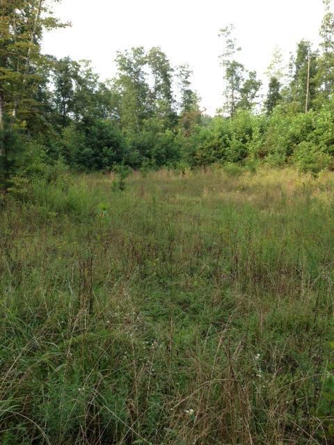 1235 Forest Service Road Somerset, KY 42501 - Photo 7 of 10 Additional Photo