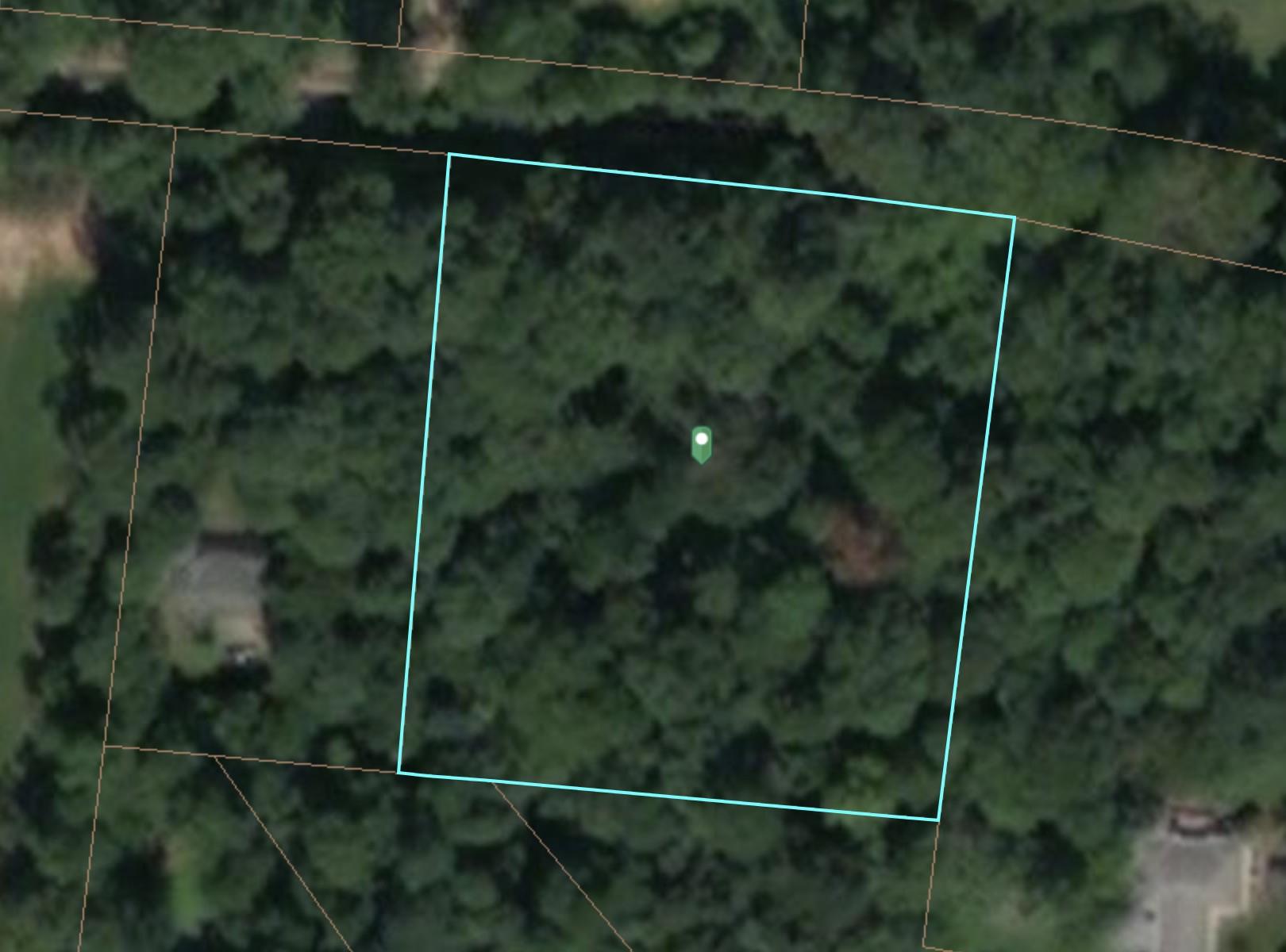 0 Drake Road Adams, TN 37010 - Photo 3 of 8
