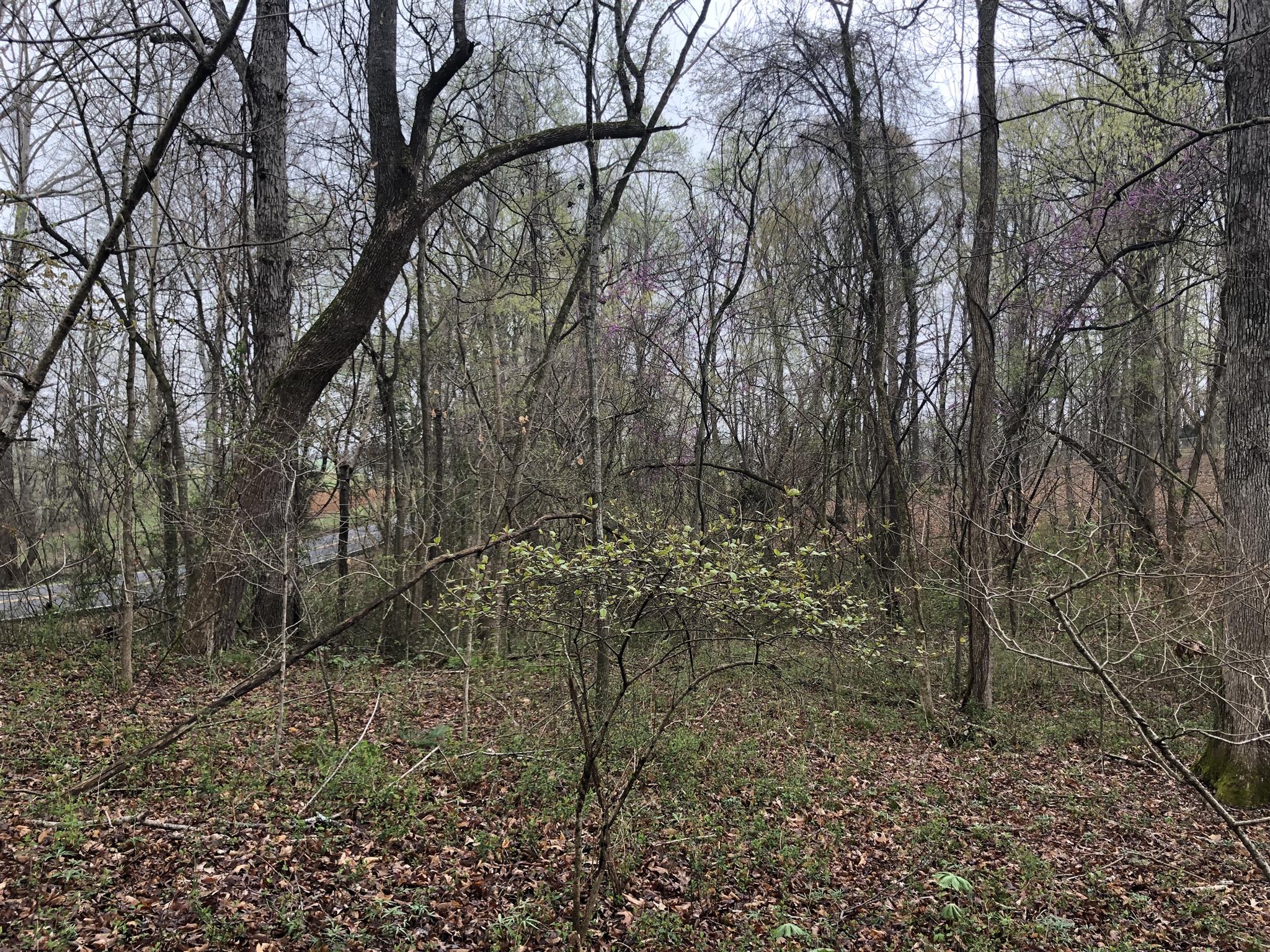 0 Drake Road Adams, TN 37010 - Photo 8 of 8