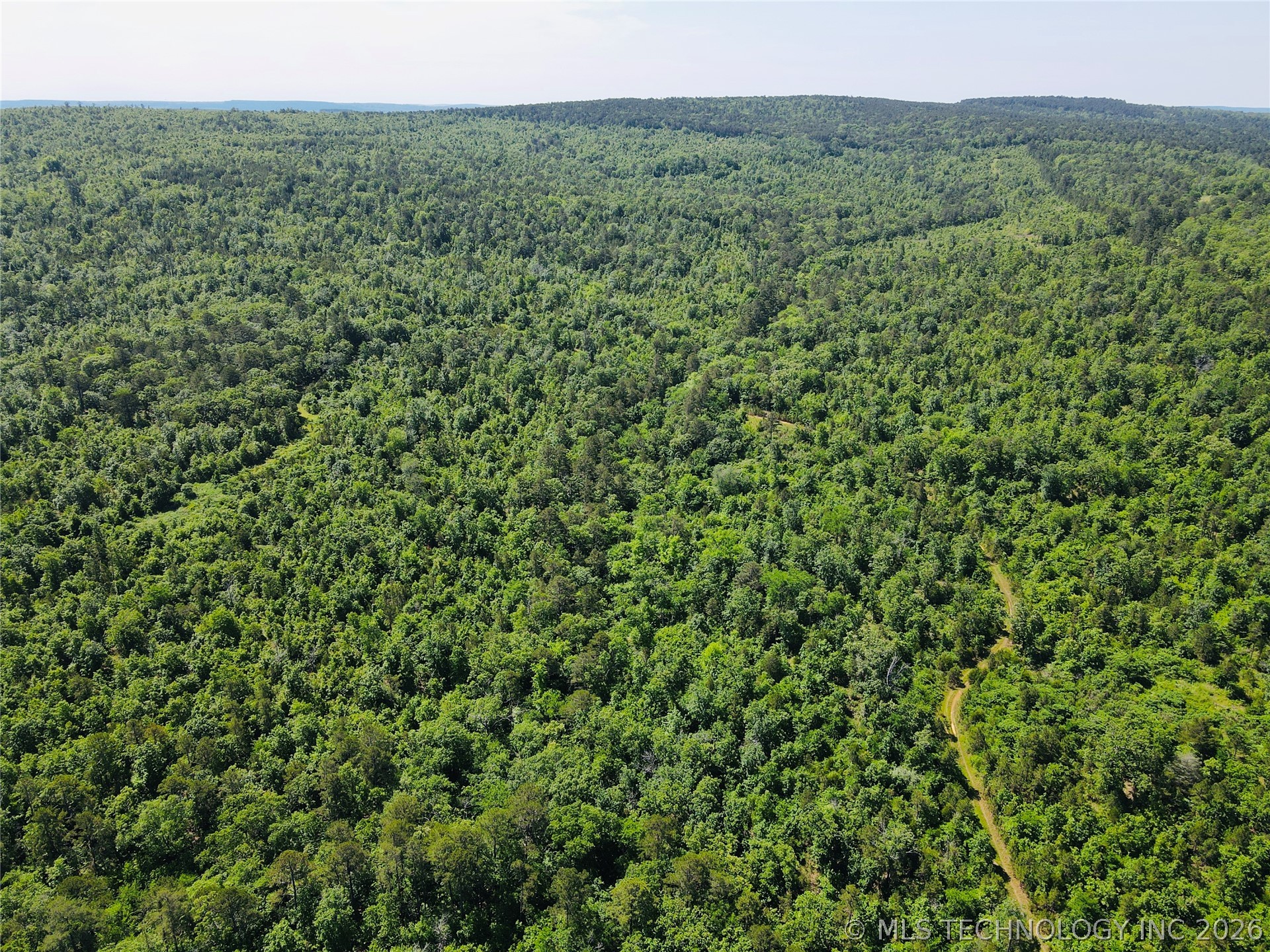 0 4289th Road Clayton, OK 74536 - Photo 21 of 26 Expansive acreage featuring dense, mature tree coverage and visible cleared paths