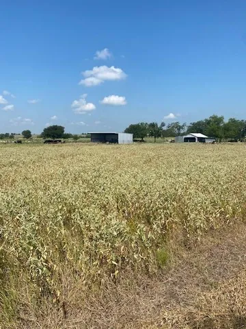 a view of an ocean and beach