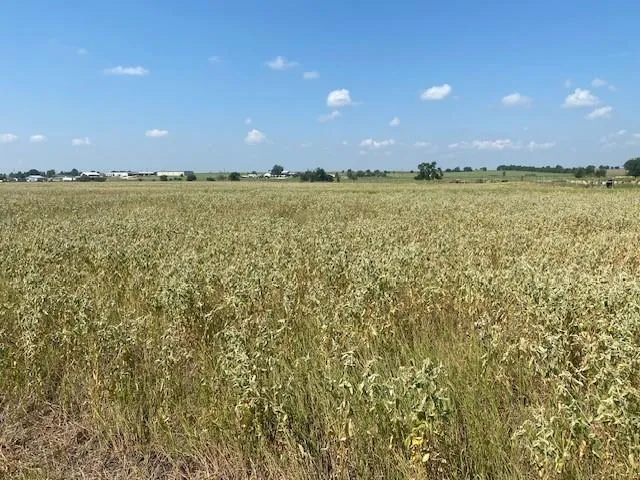 a view of an ocean beach
