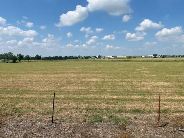 a view of an ocean from a yard