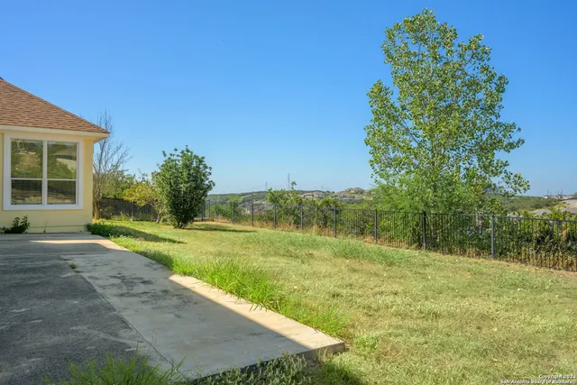 a view of a yard with an trees and plants