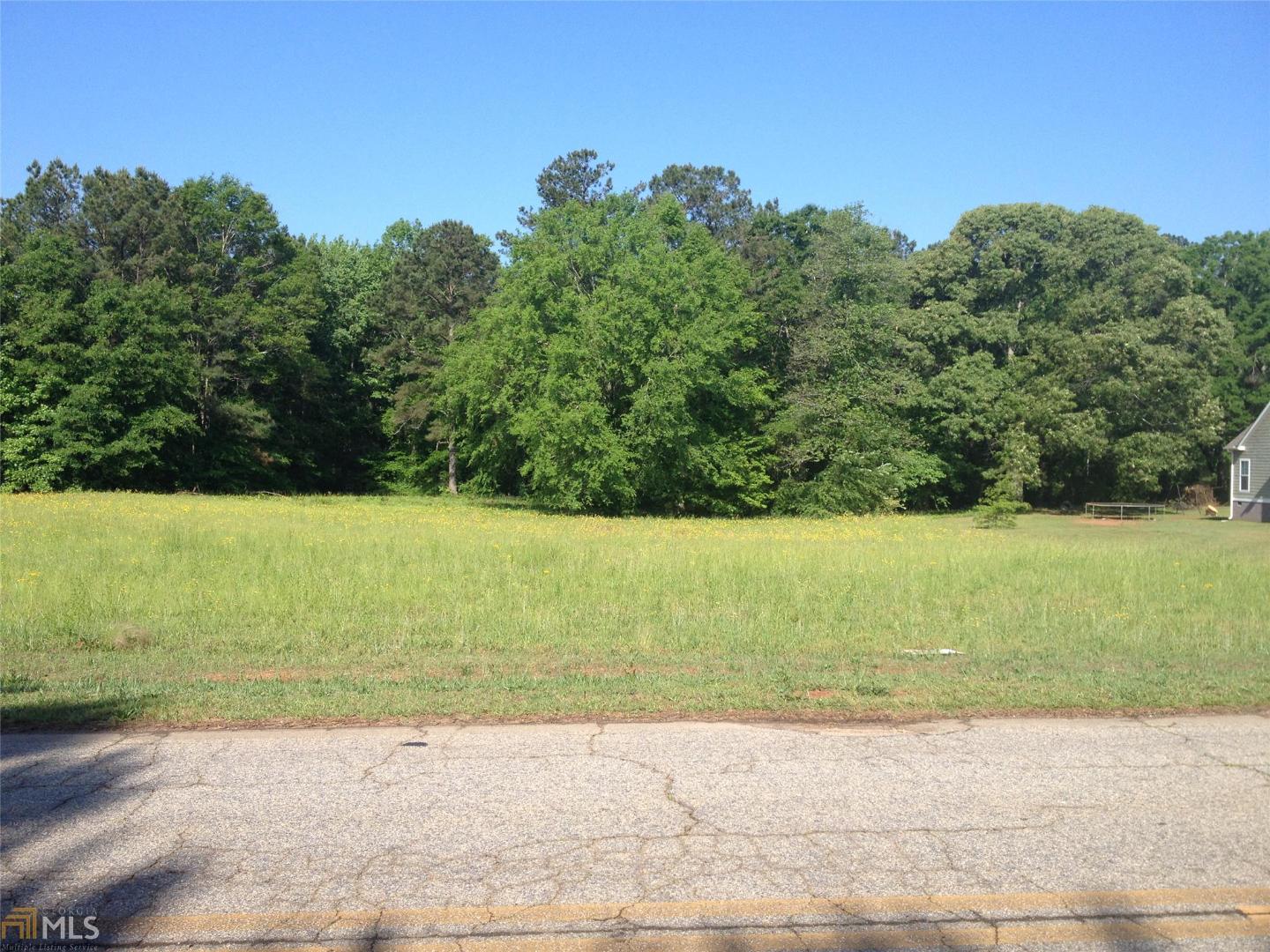 0 Patton Road, Unit L4 Griffin, GA 30224 - Photo 1 of 1 Gallery Image 1