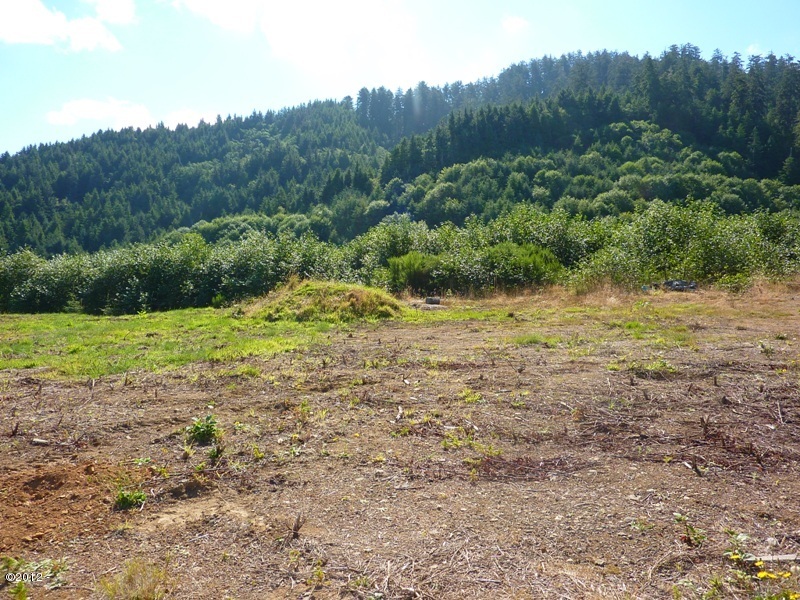 Lot 5 South Beach Road Street Grand Ronde, OR 97347 - Photo 3 of 4 Lot 5