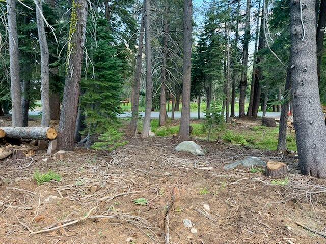 0 Quaking Aspen Road Arnold, CA 95223 - Photo 3 of 6