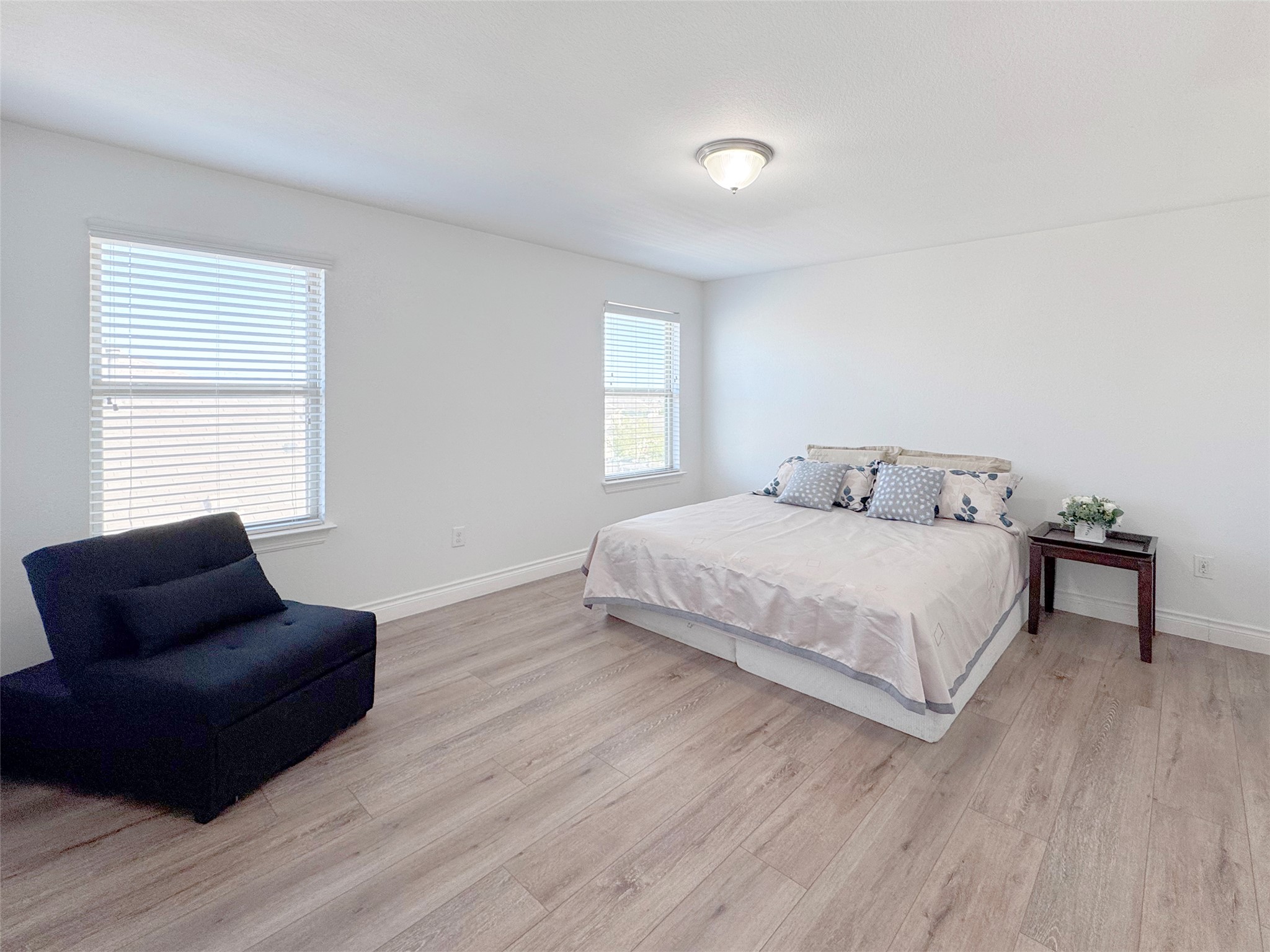 251 Triumph Road Buda, TX 78610 - Photo 18 of 24 Bedroom with light wood-style flooring and baseboards