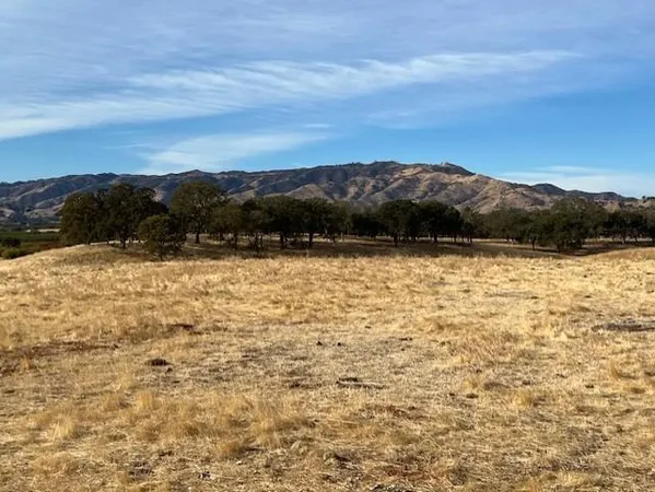 $1,450,000 | 0 Cr 87 Winters Ca, Winters, CA 95694