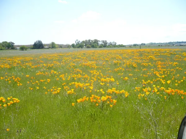 $1,450,000 | 0 Cr 87 Winters Ca, Winters, CA 95694