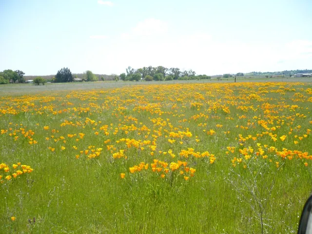 $1,750,000 | 0 Cr 87 Winters Ca, Winters, CA 95694