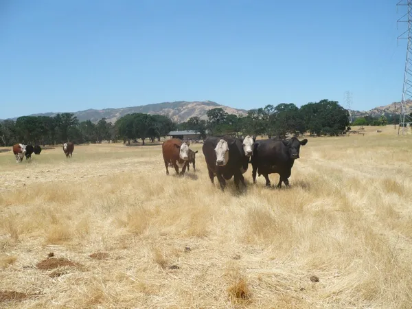 $1,450,000 | 0 Cr 87 Winters Ca, Winters, CA 95694