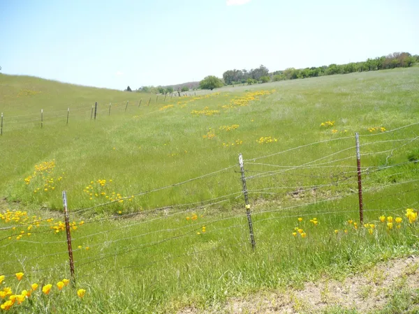 $1,450,000 | 0 Cr 87 Winters Ca, Winters, CA 95694