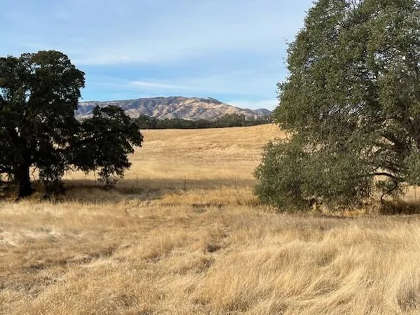 $1,450,000 | 0 Cr 87 Winters Ca, Winters, CA 95694