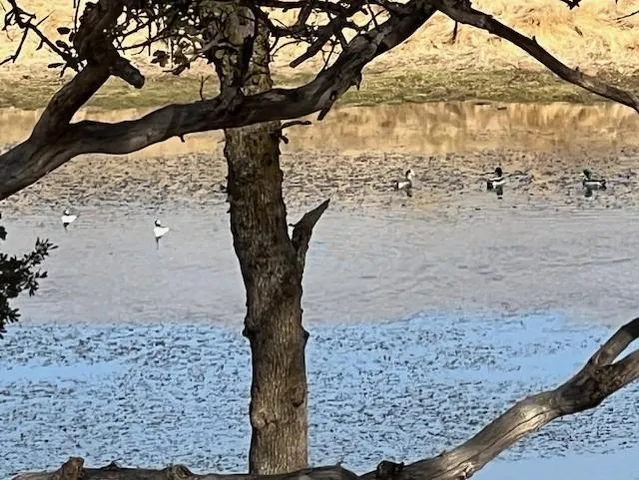 $1,750,000 | 0 Cr 87 Winters Ca, Winters, CA 95694