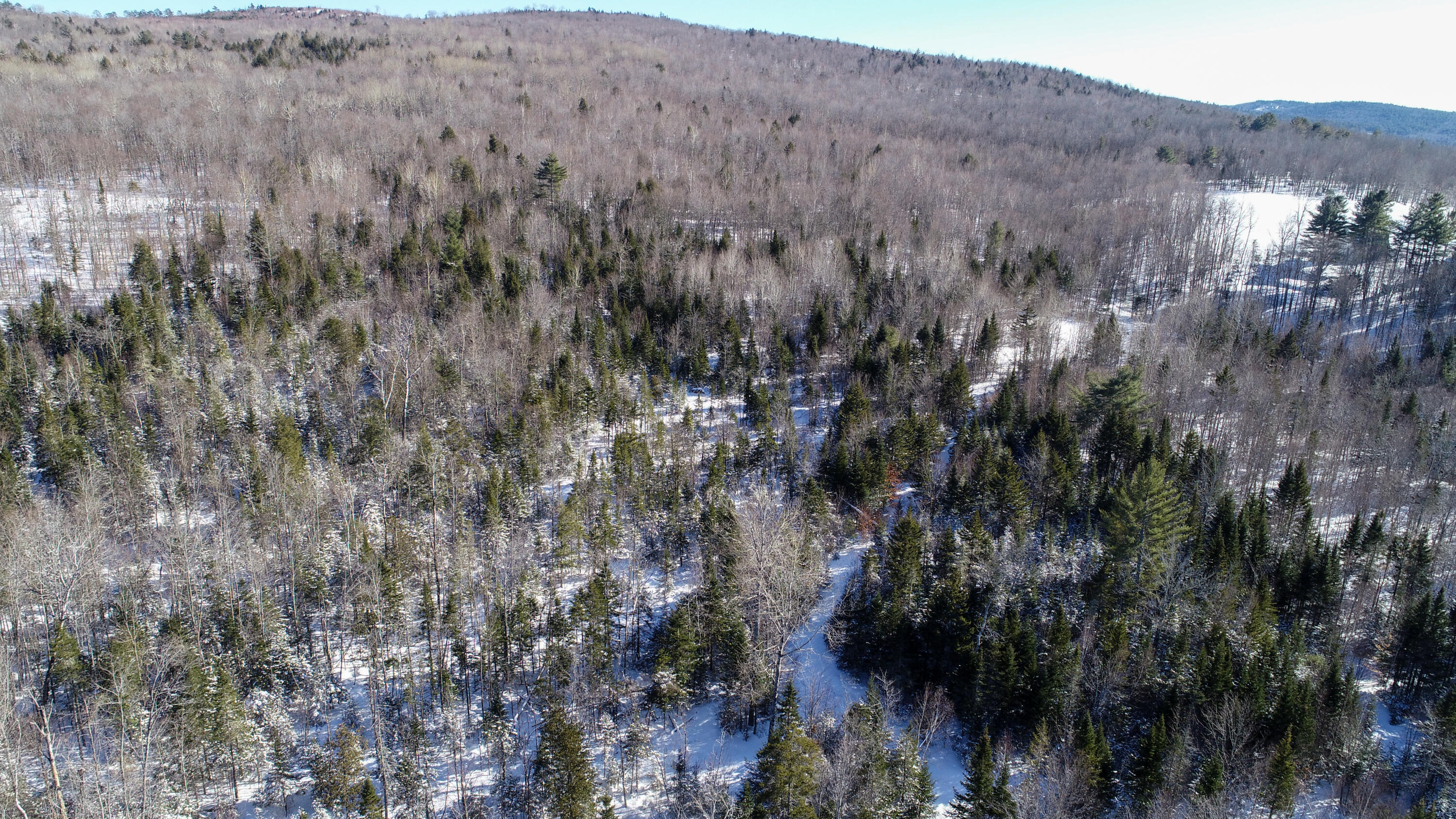 Tbd Black Brook Road Bryant Pond, ME 04219 - Photo 16 of 16 DJI_0245