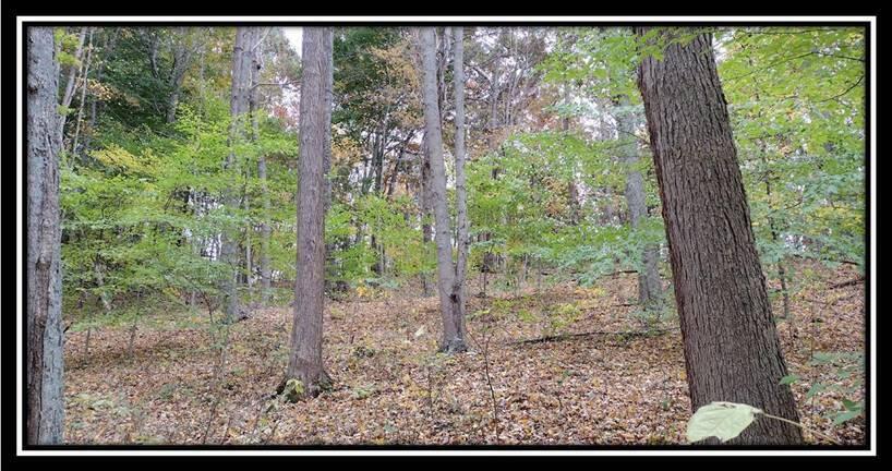 2169 Mohawk Coal Road Wellston, OH 45692 - Photo 38 of 58 image038