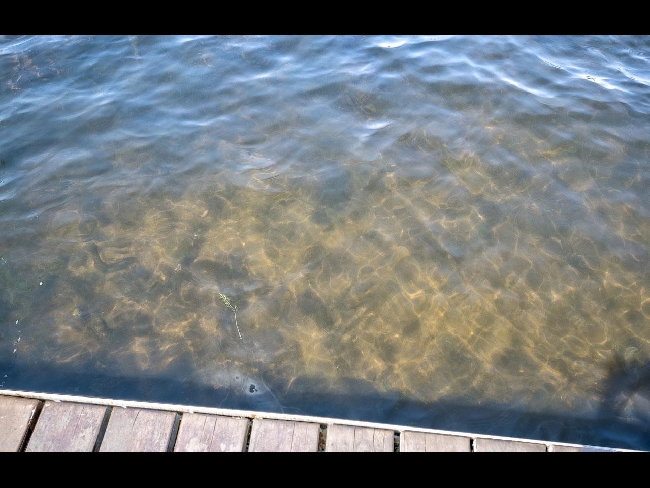 8316 West Harris Lake Road Presque Isle, WI 54557 - Photo 23 of 29 Gallery Image 23