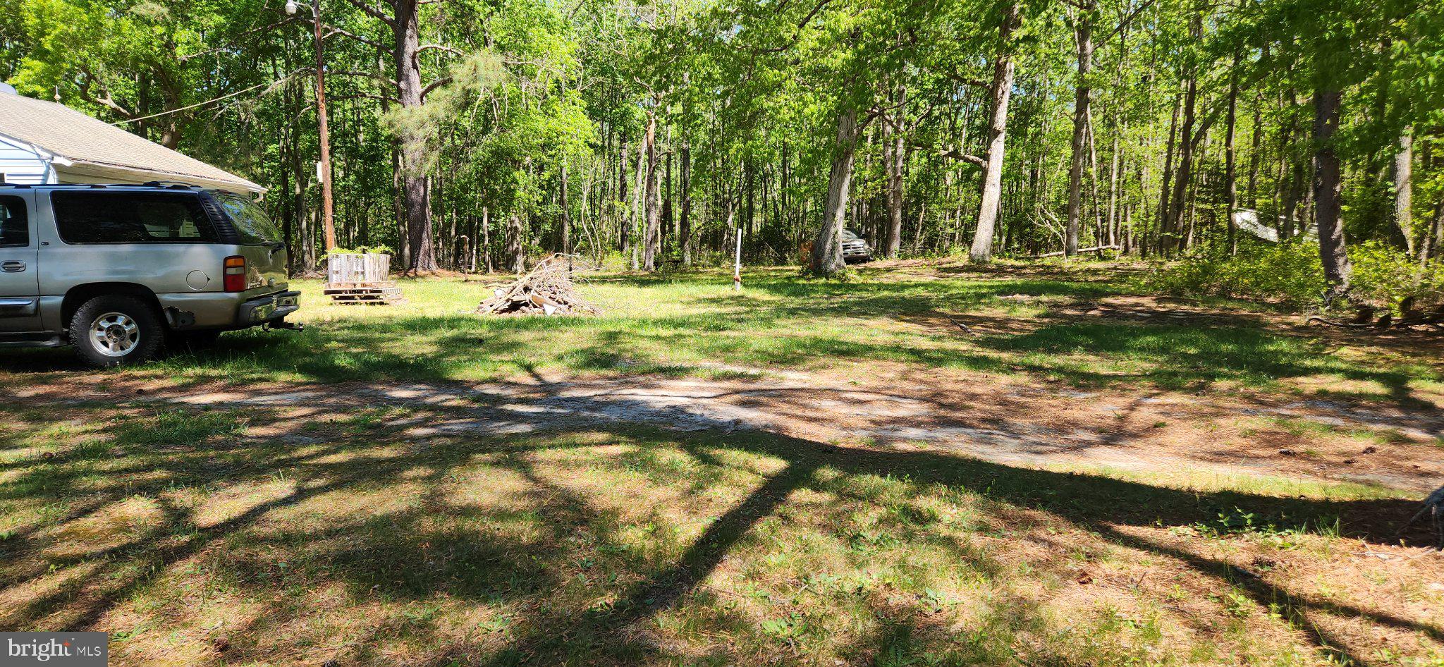 4310 Bethlehem Road Preston, MD 21655 - Photo 9 of 16 Serene wooded retreat awaits you.