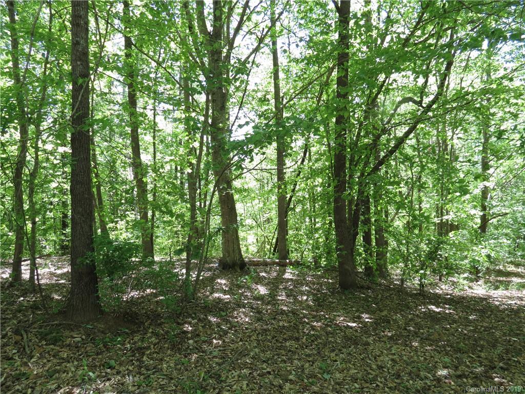 29 General Griffith Circle Rutherfordton, NC 28139 - Photo 1 of 6 a view of outdoor space and green space