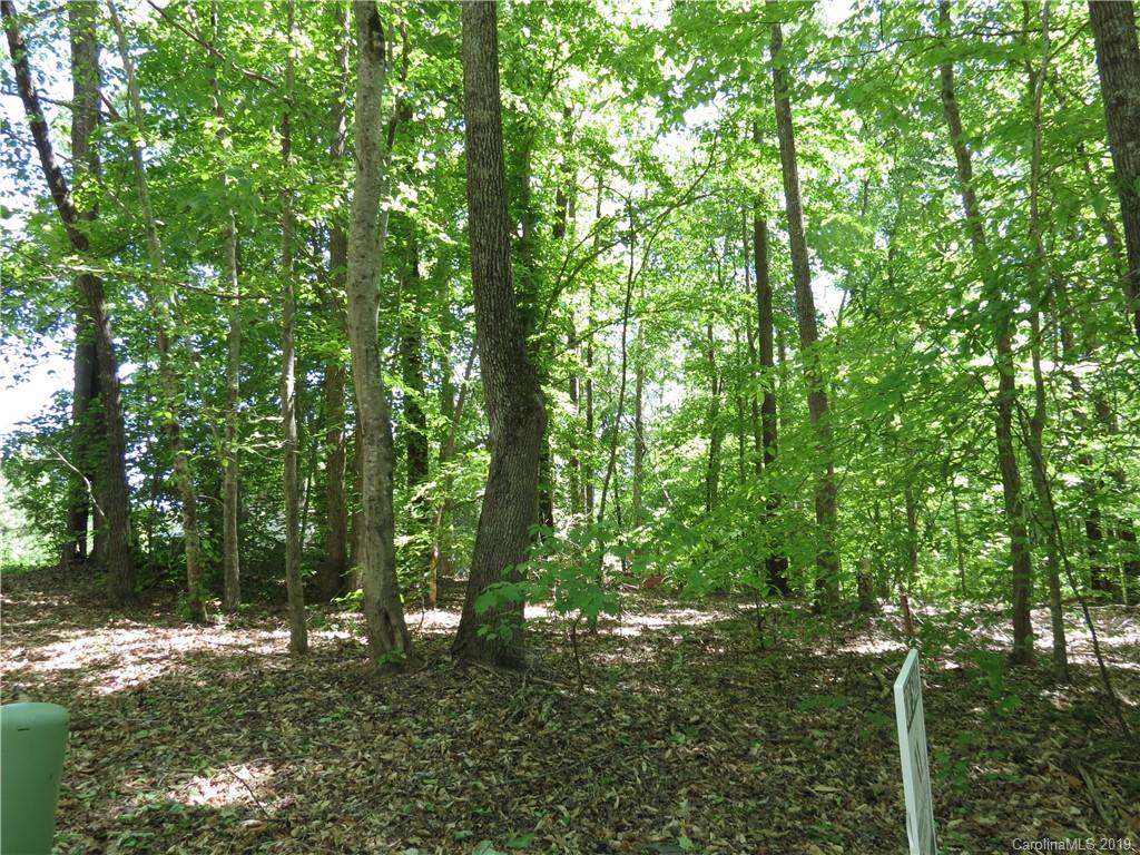 29 General Griffith Circle Rutherfordton, NC 28139 - Photo 2 of 6 a backyard of a house with lots of green space