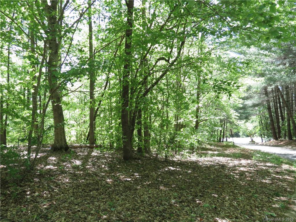 29 General Griffith Circle Rutherfordton, NC 28139 - Photo 4 of 6 a view of outdoor space and yard