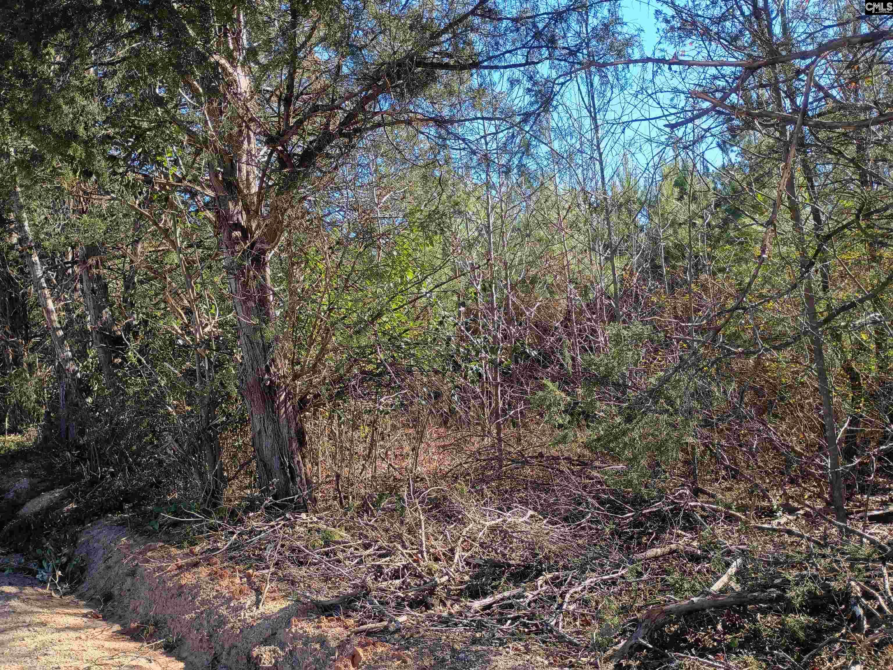 1163 June Berry Road Camden, SC 29020 - Photo 8 of 20