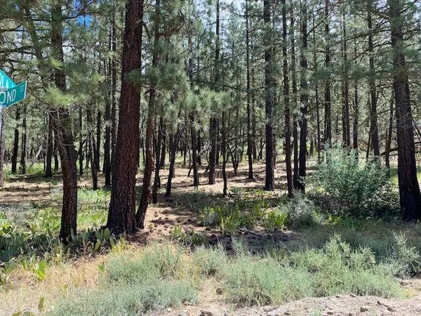 $28,500 | 200 Portola Avenue, Portola, CA 96122