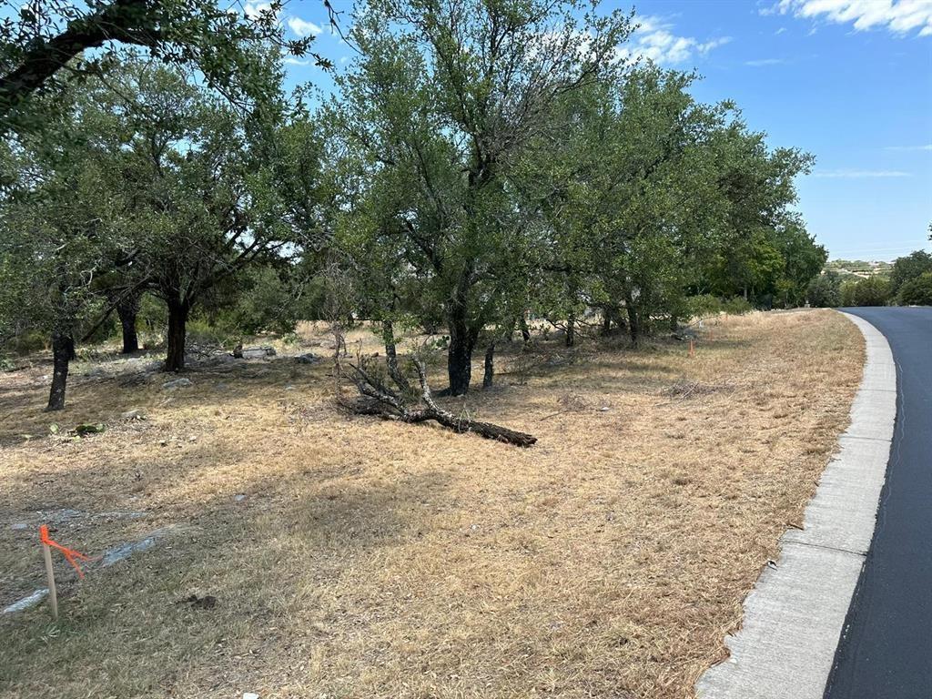 0 Hi Ridge Road Horseshoe Bay, TX 78657 - Photo 2 of 5 a view of a yard with a tree
