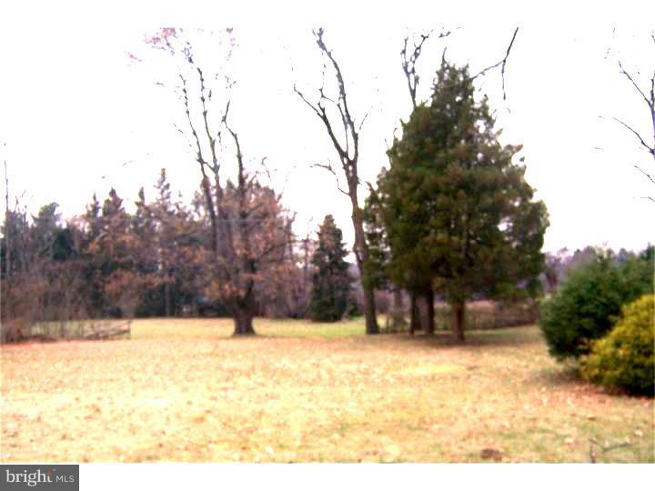 49 Meade Road Ambler, PA 19002 - Photo 5 of 14 View in Back