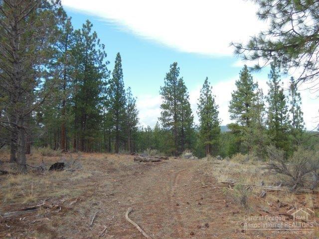 17785 Wilt Road Sisters, OR 97759 - Photo 21 of 25 a view of a forest with trees in the background
