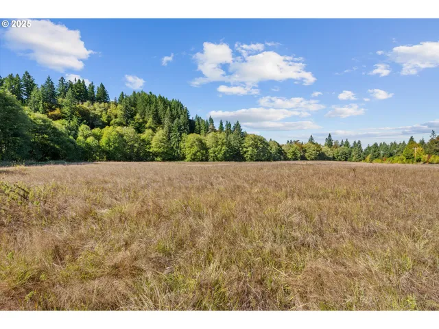 $495,000 | 64086 Nehalem Highway North, Vernonia, OR 97064