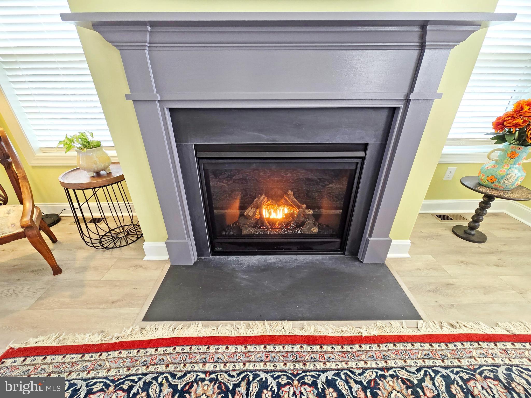 33768 Catching Cove Lewes, DE 19958 - Photo 15 of 69 a living room with a fireplace
