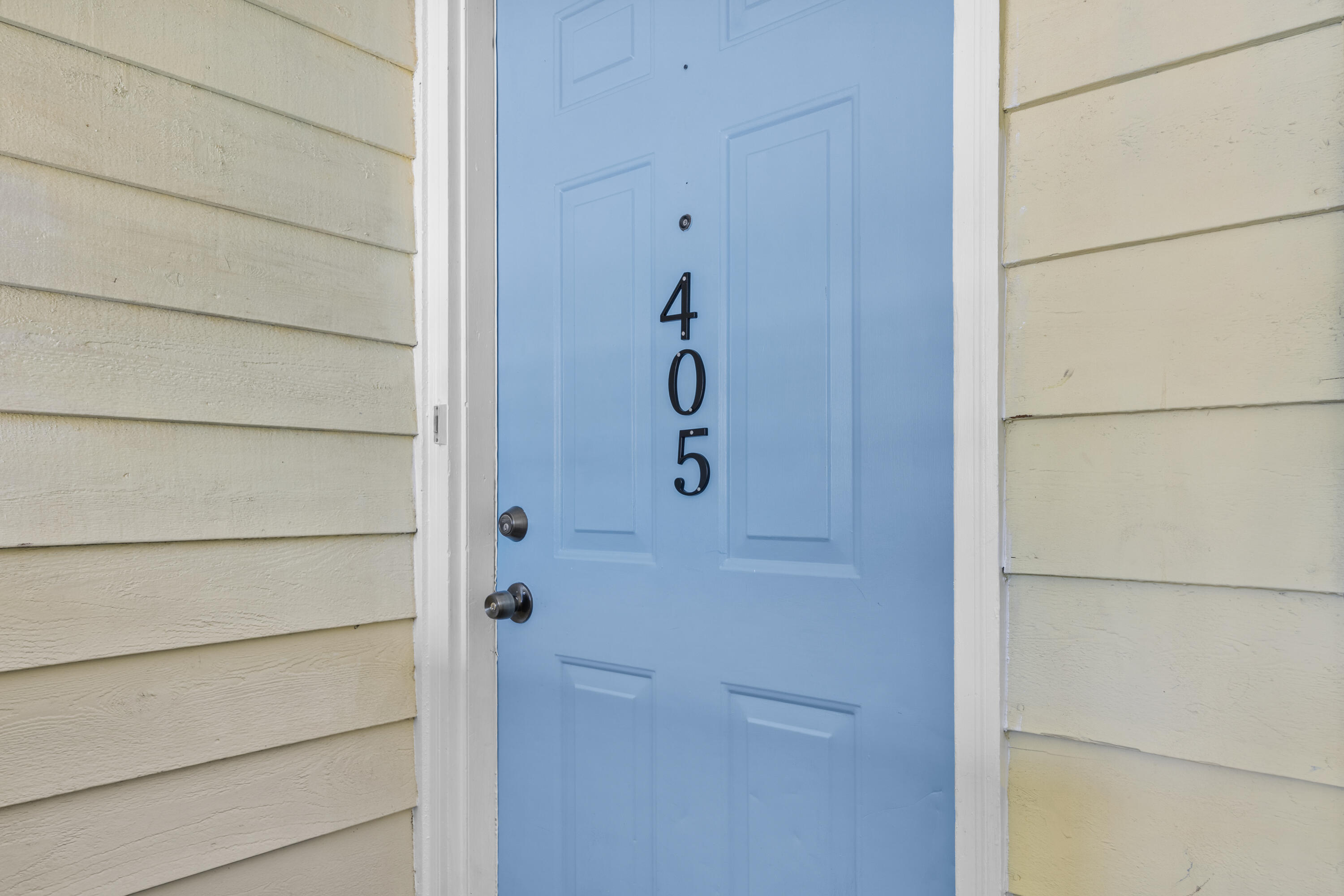 405 Sunny Side Way Summerville, SC 29485 - Photo 2 of 36 _I2A1312