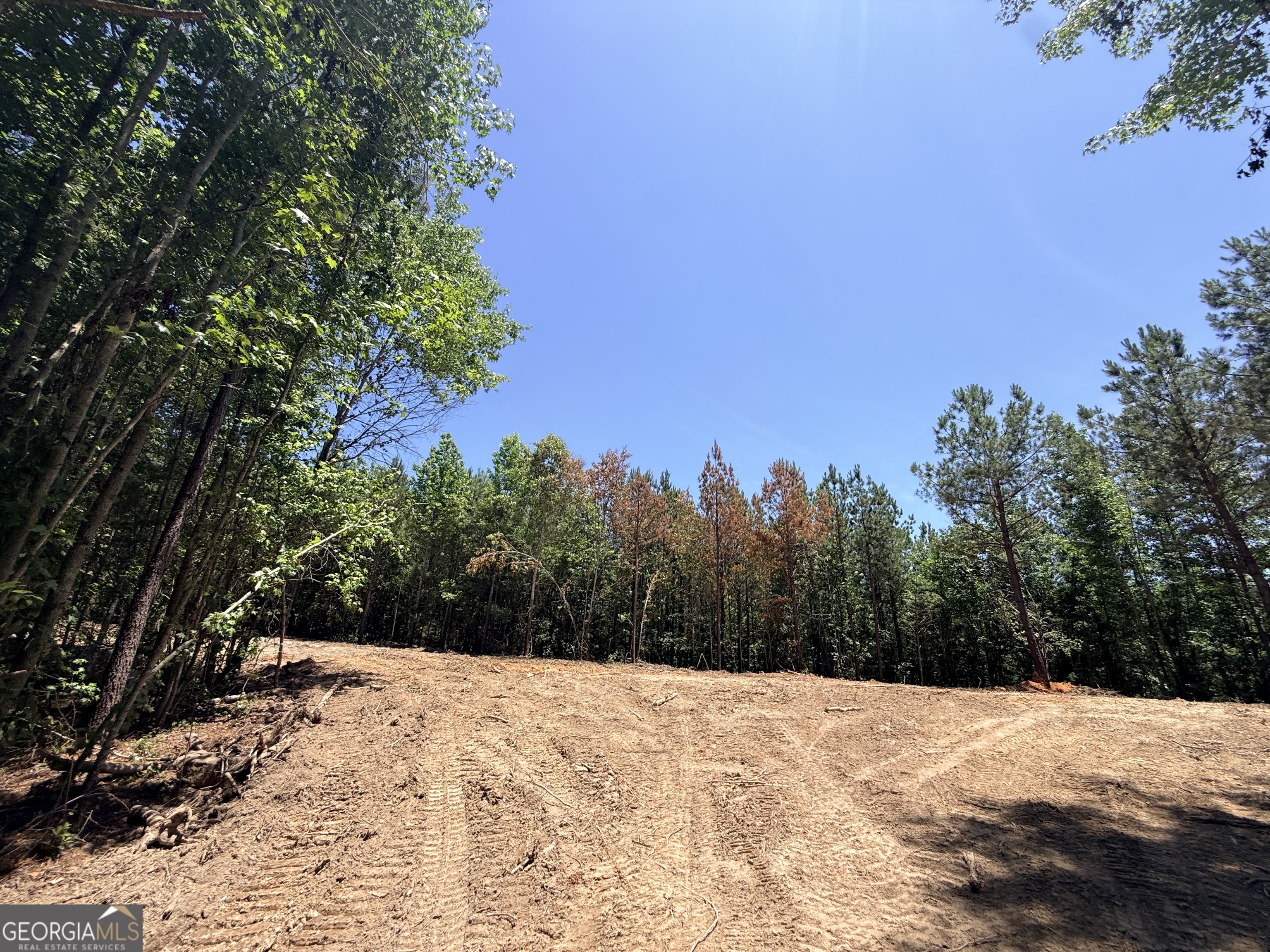 2807 Cedar Creek Road Elberton, GA 30635 - Photo 29 of 109