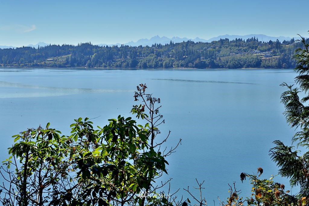 4576 South June Beach Road Freeland, WA 98249 - Photo 2 of 25 a view of lake with mountain