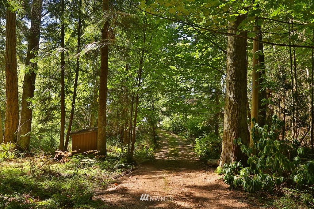 4576 South June Beach Road Freeland, WA 98249 - Photo 25 of 25 a view of outdoor space and yard