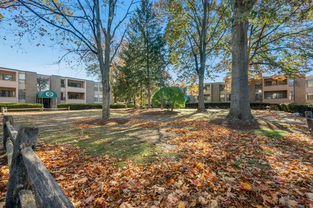 a view of a yard with plants and trees