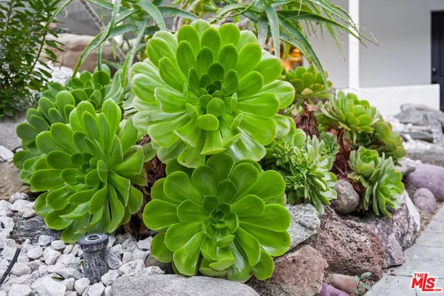 $1,599,000 | 2365 Old Topanga Canyon Road, Topanga, CA 90290