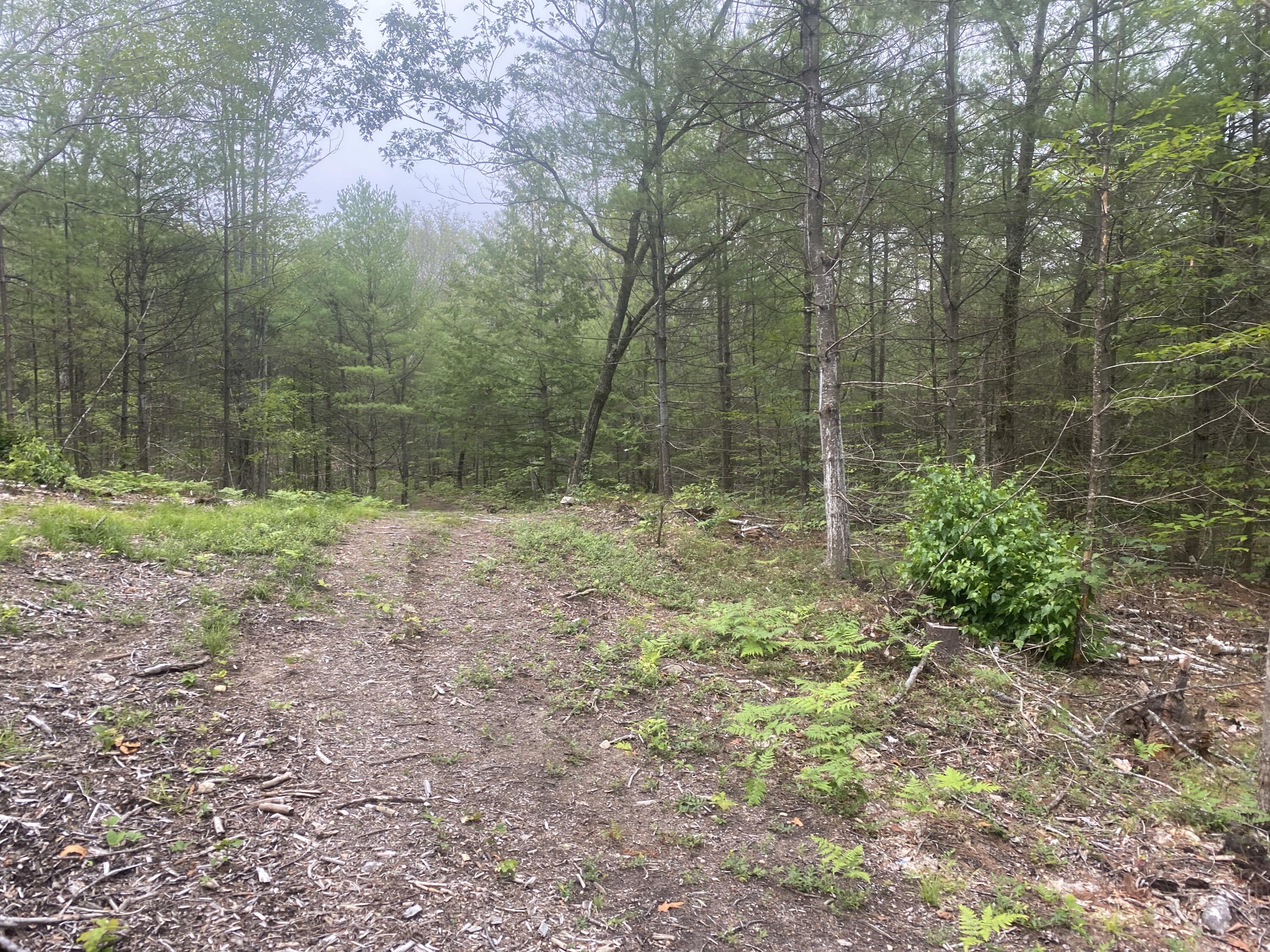 19 Off Peary Mountain Road Brownfield, ME 04010 - Photo 24 of 26 IMG_5766